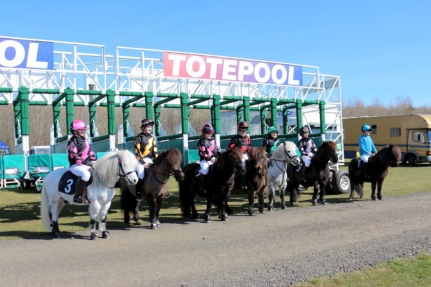 Pony Breeders of Shetland Association