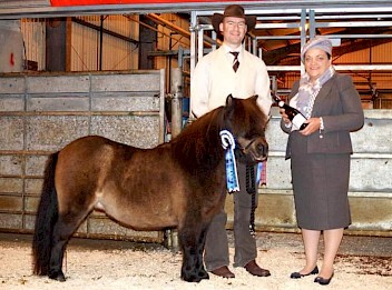 Reserve Champion