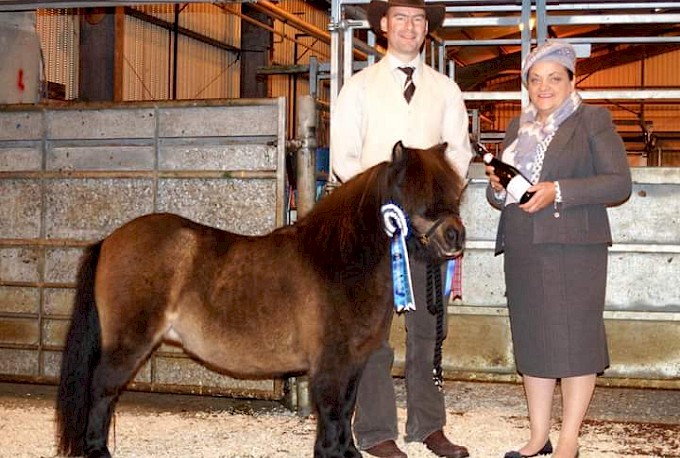 Reserve Champion