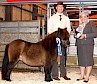 Reserve Champion