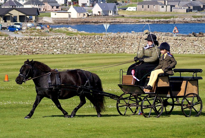 Best Driven Pony - HRE Aladdin & Kira Fraser