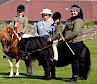 Ridden Champion - Hollydell Hazard and Rebecca Fraser