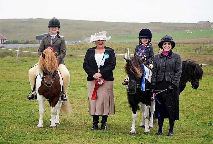 Performance Ring Champion – Hollydell Hazard – Rebecca Fraser Performance ring Reserve Champion – Hollydell Royal Command – Arianna Robertson. Ridden Champion – Hollydell Hazard – Rebecca Fraser Reserve Ridden Champion – Hollydell Royal Command - Arianna Robertson