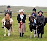 Performance Ring Champion – Hollydell Hazard – Rebecca Fraser Performance ring Reserve Champion – Hollydell Royal Command – Arianna Robertson. Ridden Champion – Hollydell Hazard – Rebecca Fraser Reserve Ridden Champion – Hollydell Royal Command - Arianna Robertson