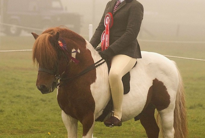 Supreme Champion - Hollydell Hazard - R Fraser