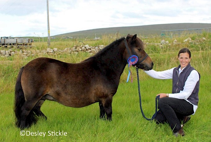 Reserve Champion - Muness Sinead - L. Hunter