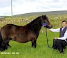 Reserve Champion - Muness Sinead - L. Hunter