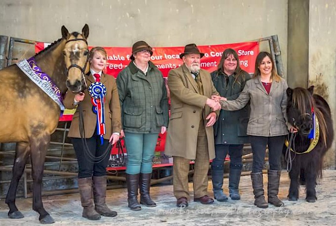 Reserve Supreme Champion - Orkney