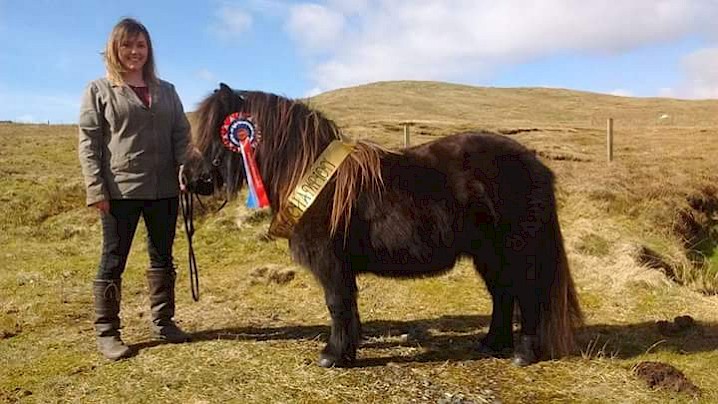 Supreme Champion - Merkisayre Juniper