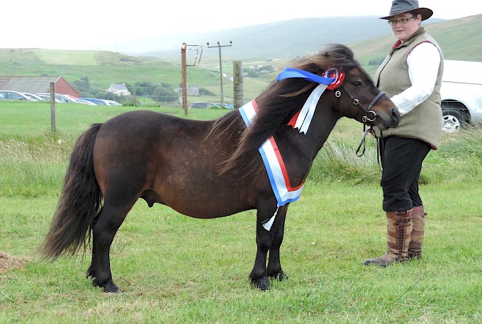 Supreme Champion - Clivocast Napolean - Sheena Anderson