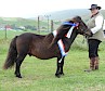 Supreme Champion - Clivocast Napolean - Sheena Anderson