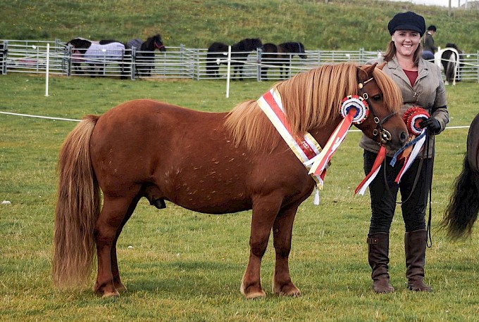 Merkisayre Kelvin - Supreme Champion with handler Elaine Tait