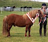 Merkisayre Kelvin - Supreme Champion with handler Elaine Tait