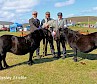 Champion - Almnas Sum Sum and Reserve Champion - Black Rose Av Bergli